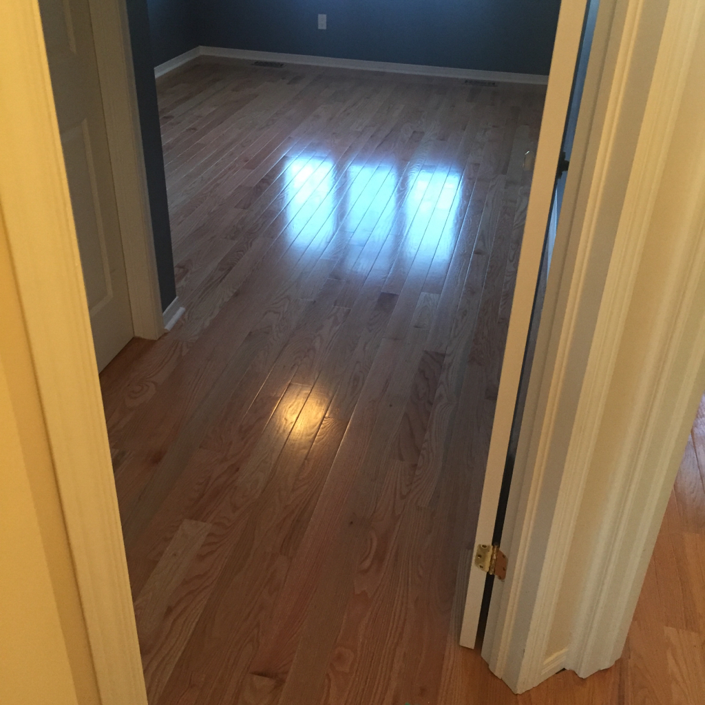 ImageUploadedByCFC Ottawa1448417152.152357.jpg