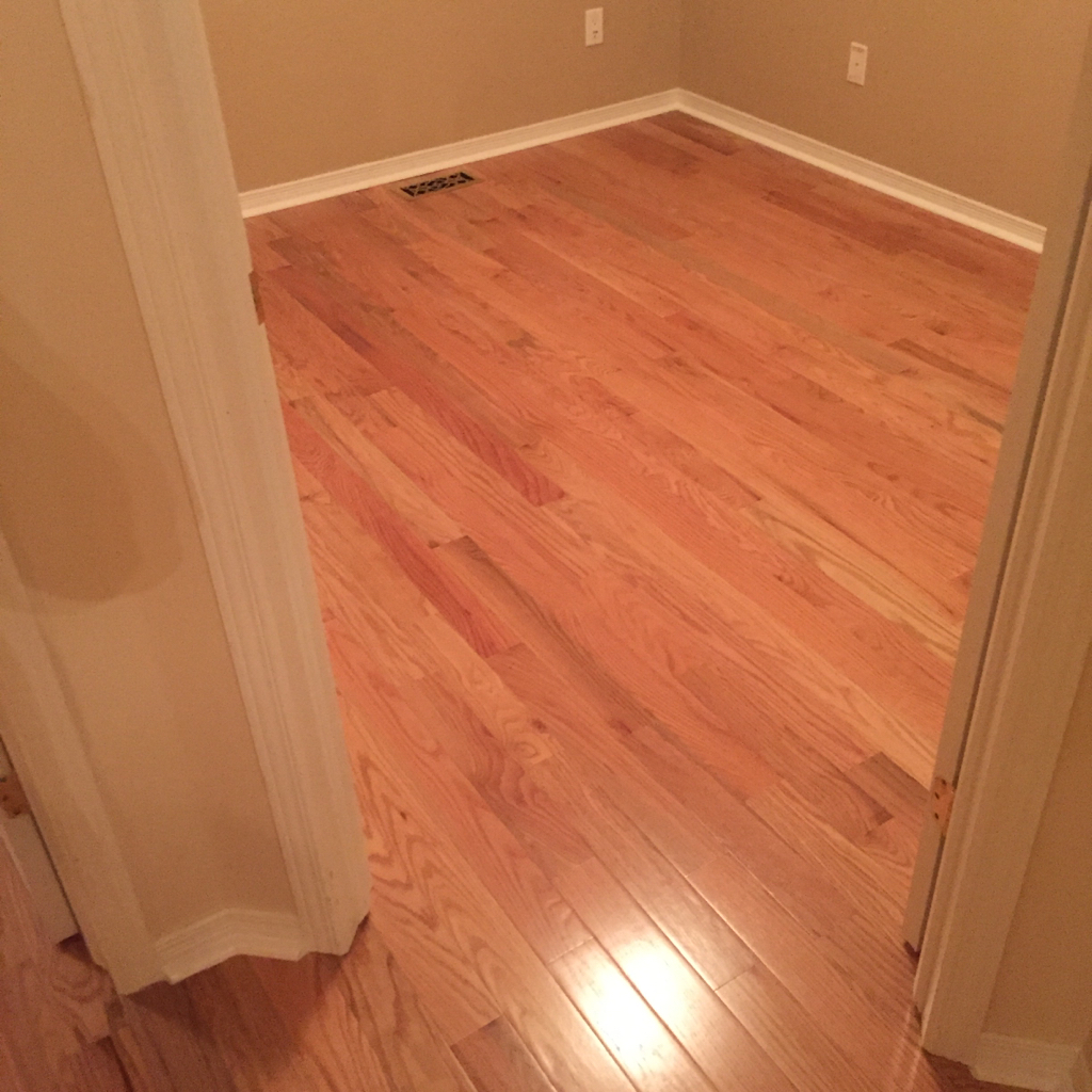 ImageUploadedByCFC Ottawa1448920488.755296.jpg