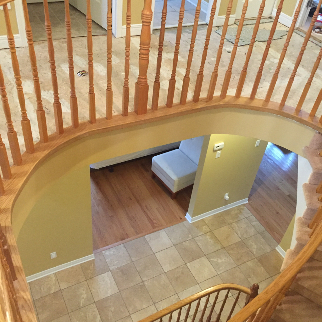 ImageUploadedByCFC Ottawa1449541377.915466.jpg