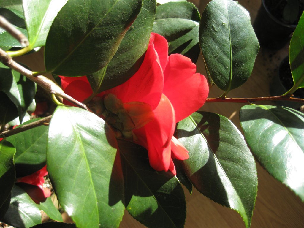 IMG_3926.JPG