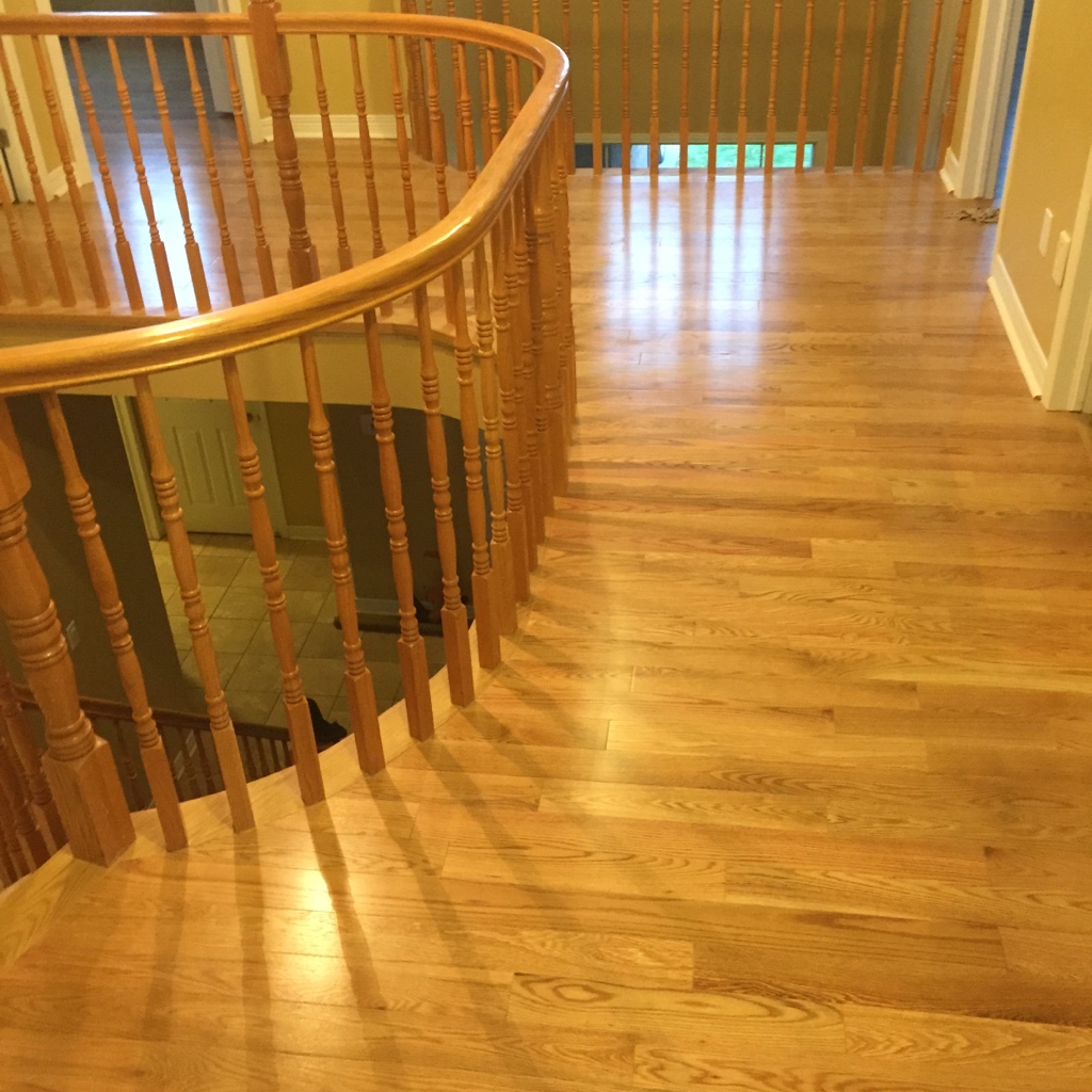 ImageUploadedByCFC Ottawa1452454214.618338.jpg