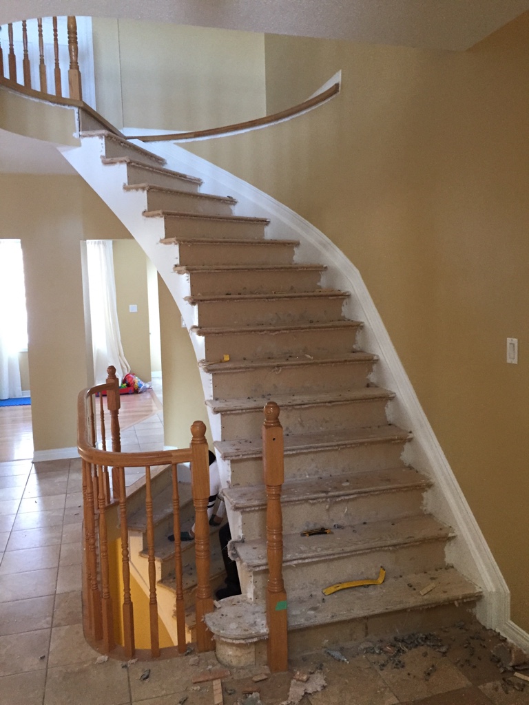 ImageUploadedByCFC Ottawa1453424308.579567.jpg
