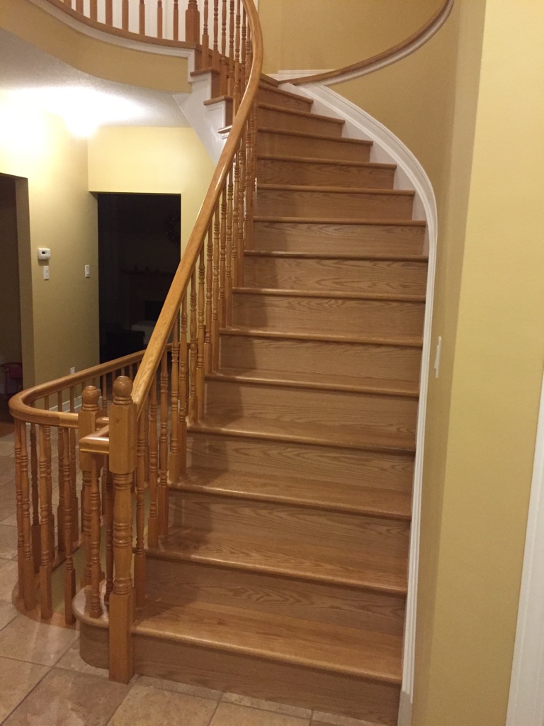 ImageUploadedByCFC Ottawa1453424555.154721.jpg