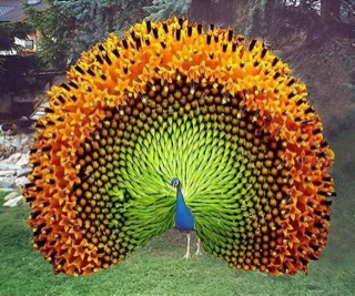 ImageUploadedByCFC 21453688671.693177.jpg