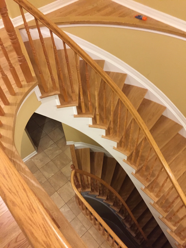 ImageUploadedByCFC Ottawa1454466950.373945.jpg