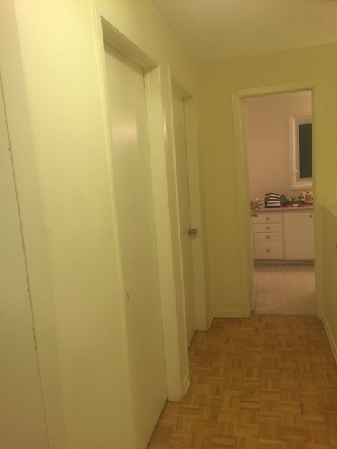 ImageUploadedByCFC Ottawa1456707344.112520.jpg