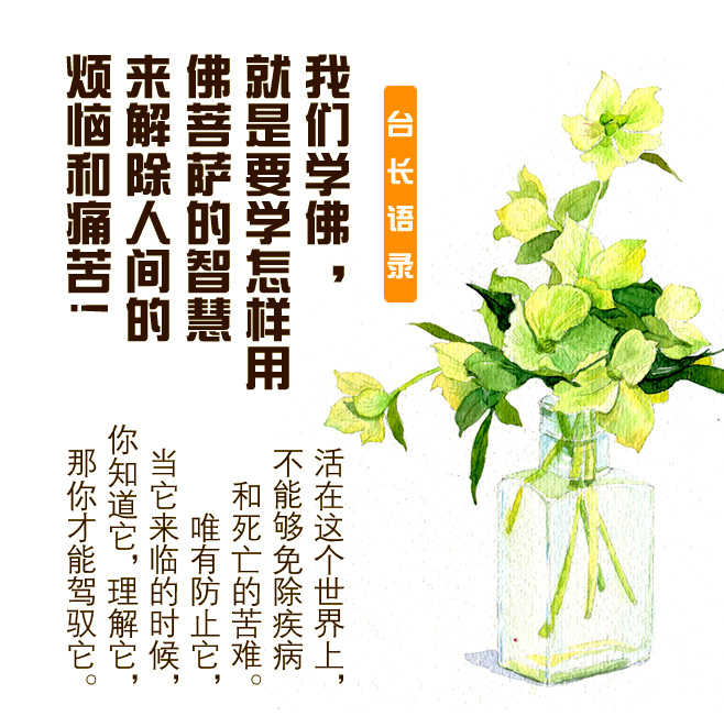 驾驭它.jpg