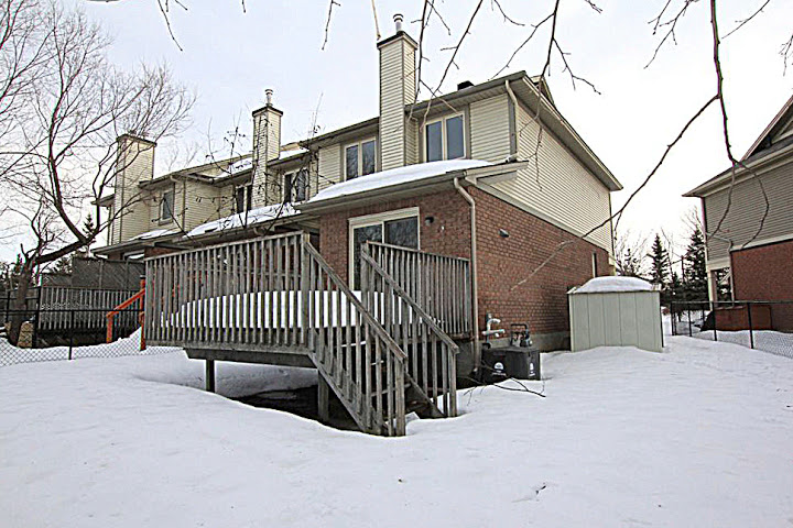 Backyard1.jpg
