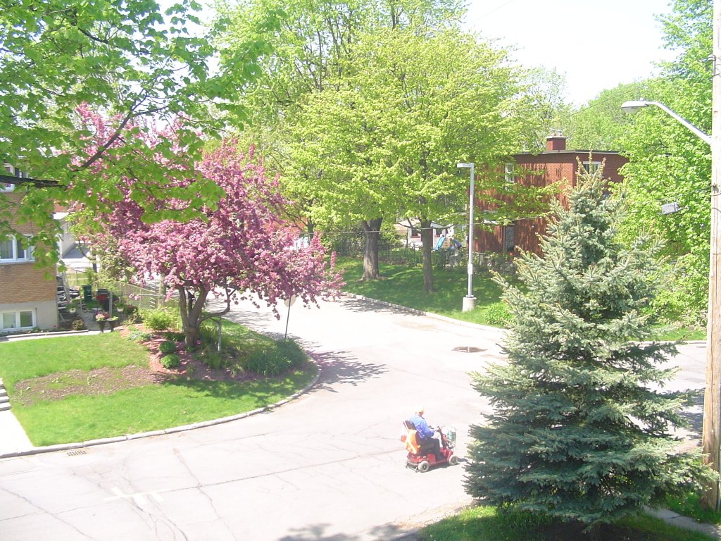 street 1.JPG
