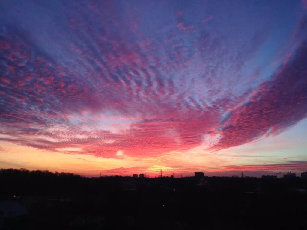 ImageUploadedByCFC Ottawa1459603557.946238.jpg