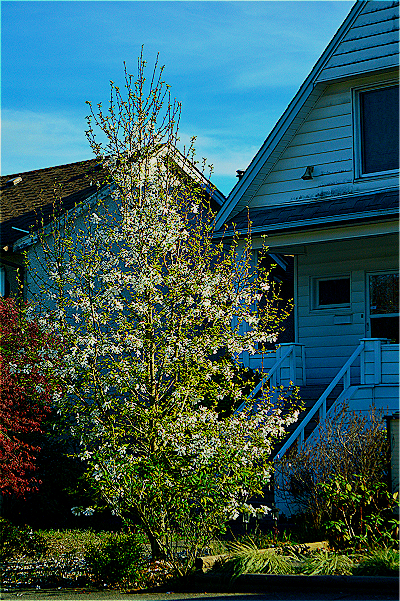 DSC_1445.JPG