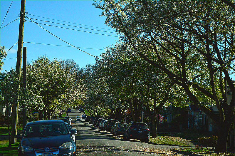 DSC_1452.JPG