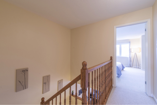 ImageUploadedByCFC Ottawa1459803130.923075.jpg