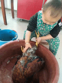 10.gif