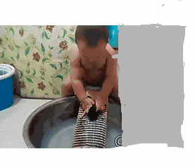 13.gif