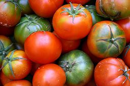 tomatoes-1165338_640.jpg