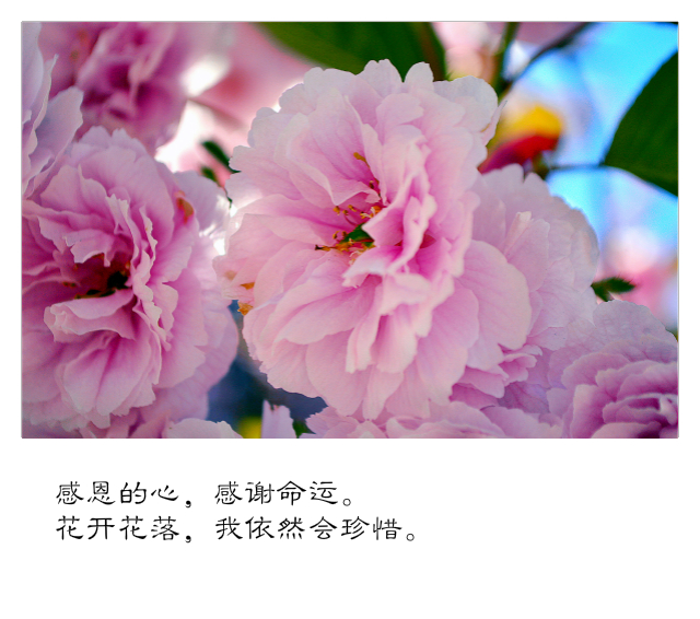 DSC_4837_1.jpg
