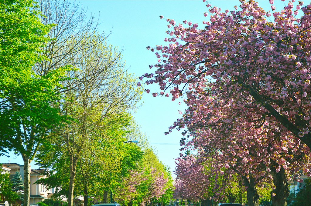 DSC_4866.JPG