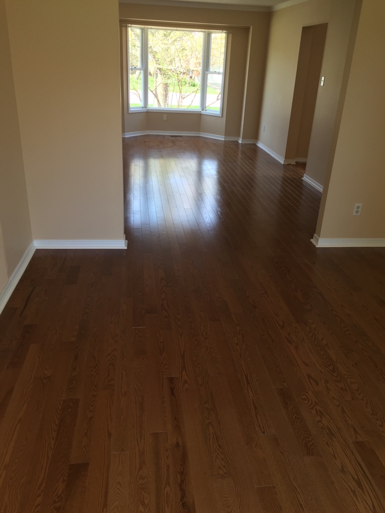 ImageUploadedByCFC Ottawa1464236698.117289.jpg