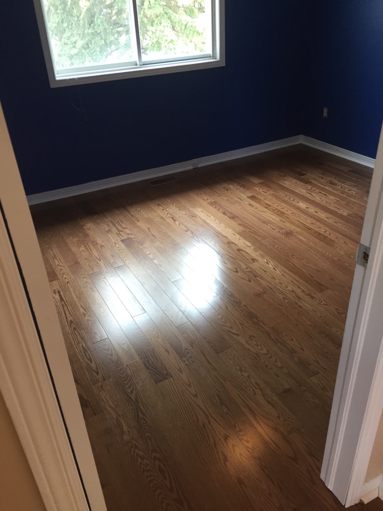 ImageUploadedByCFC Ottawa1464236952.559343.jpg