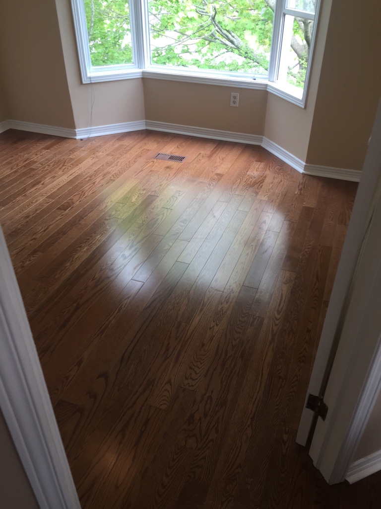 ImageUploadedByCFC Ottawa1464236979.689474.jpg