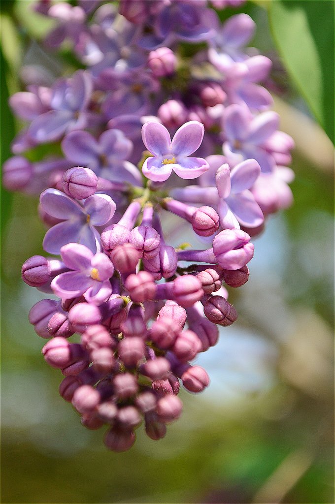 DSC_0048.JPG