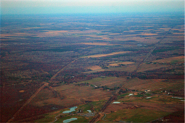 DSC_2648_1_1.jpg