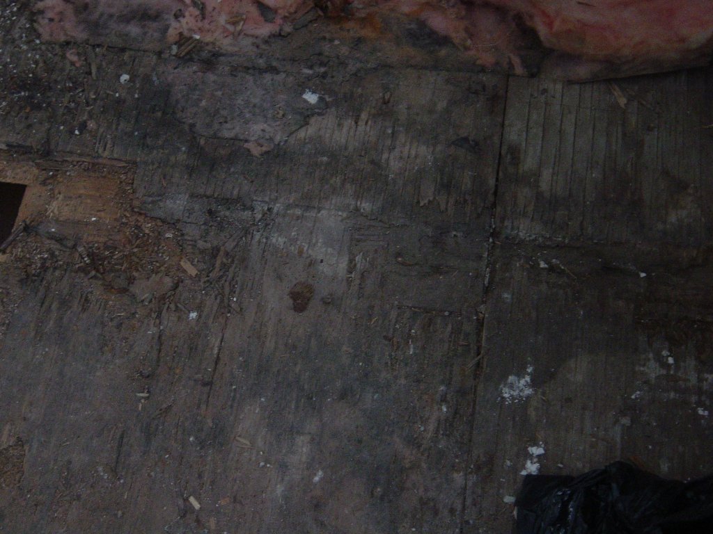DSC06514.JPG