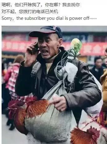 image.jpeg