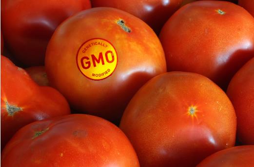 GMO.jpg