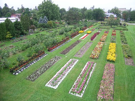 1169817907211_garden2.jpg