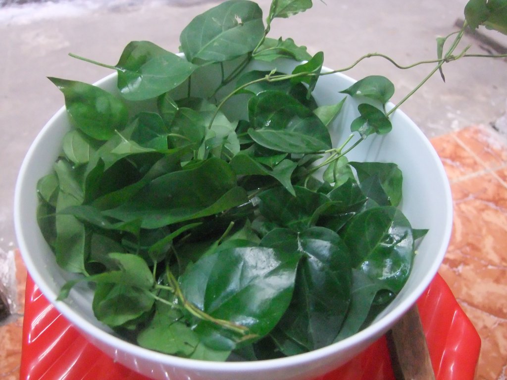 DSCF5707.JPG
