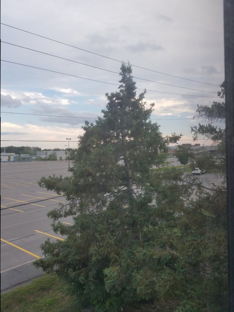 20160817_190742.jpg