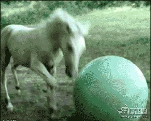 1411373399656.gif