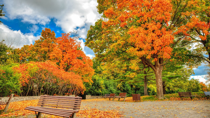 Autumn_in_Ottawa_uhd.jpg