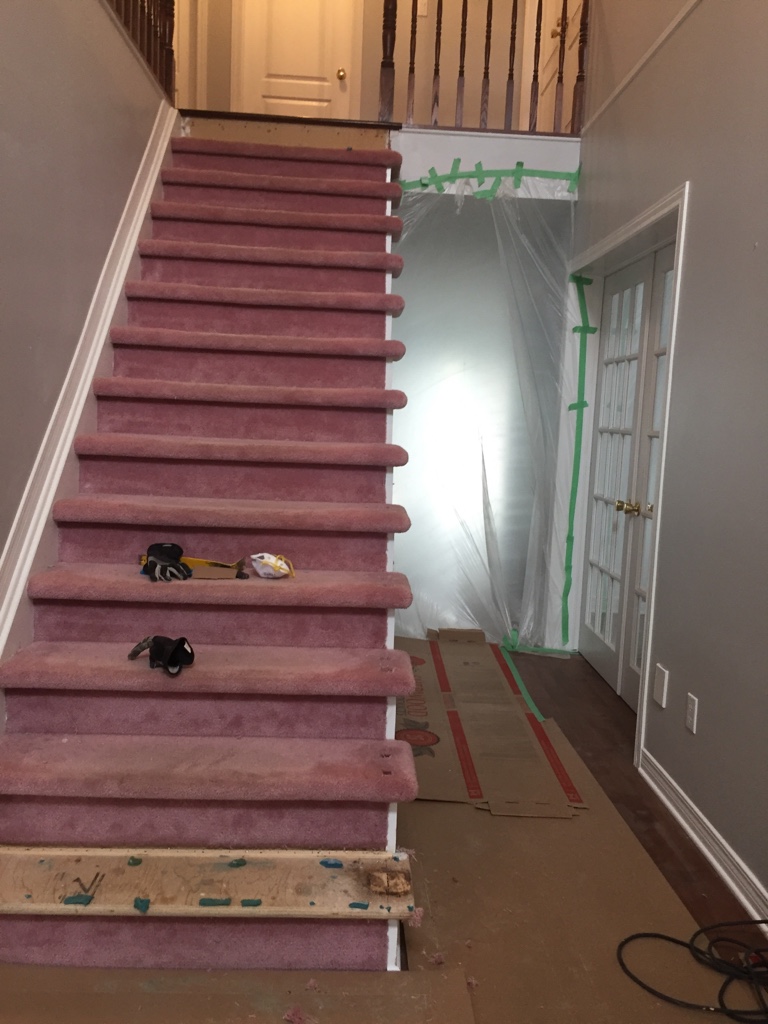 ImageUploadedByCFC Ottawa1475908500.994374.jpg
