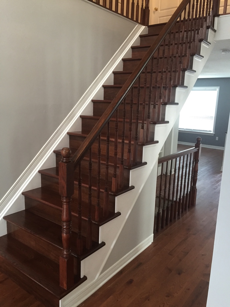 ImageUploadedByCFC Ottawa1475908577.783417.jpg