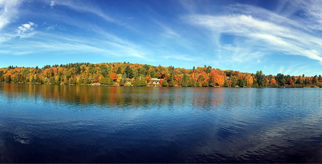 ImageUploadedByCFC Ottawa1476570124.883218.jpg