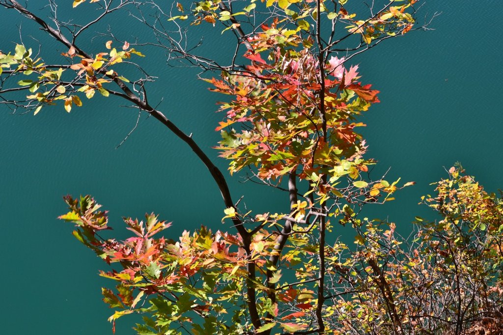 DSC_0037.JPG