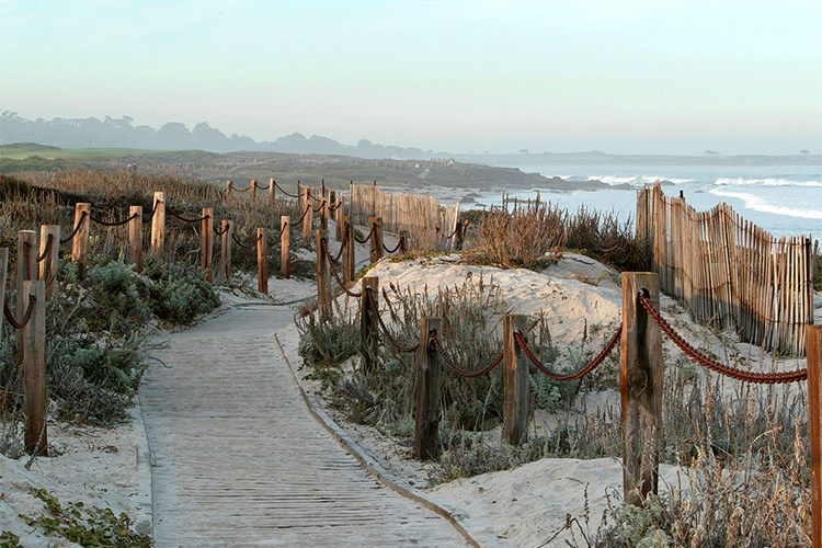 asilomar-beach-scenic-933258_1000x667.jpg