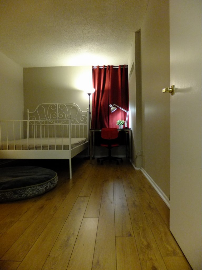 DSCF5393.JPG