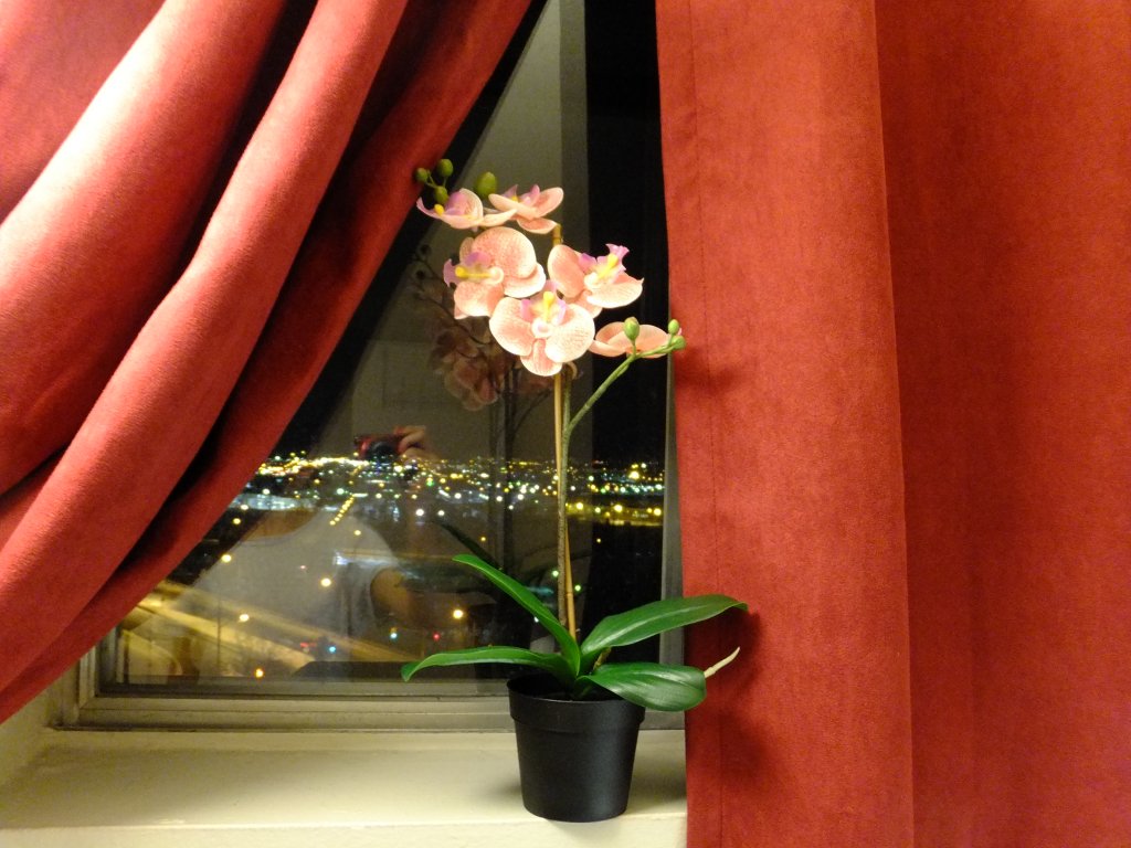DSCF5402.JPG