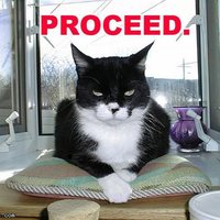 proceed_cat_lolcats_epiclosers.jpg