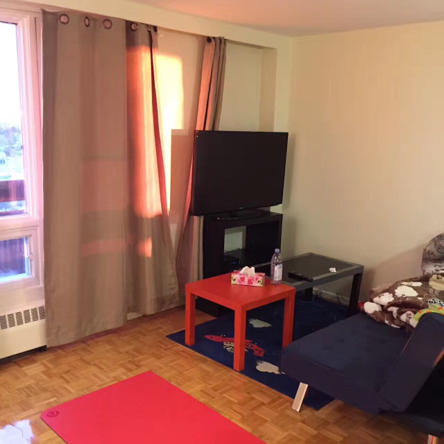 ImageUploadedByCFC Ottawa1493305082.939739.jpg