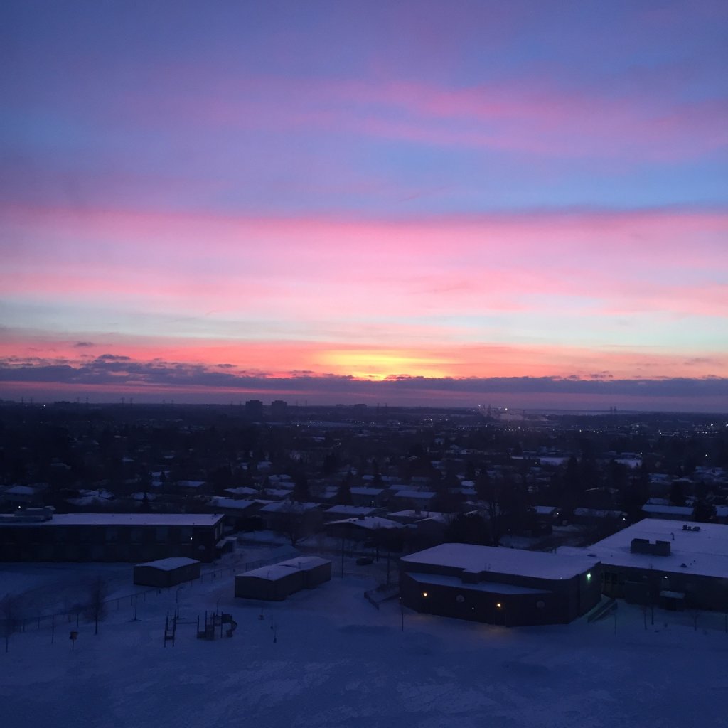 ImageUploadedByCFC Ottawa1493316560.608400.jpg