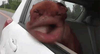 9e14cb4agy1fgxdb2cemwg20b40611bb.gif