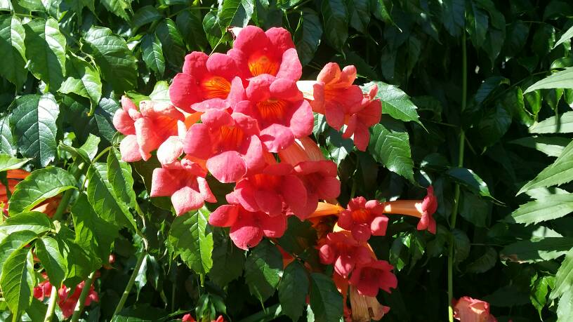 20170809_101645.jpg