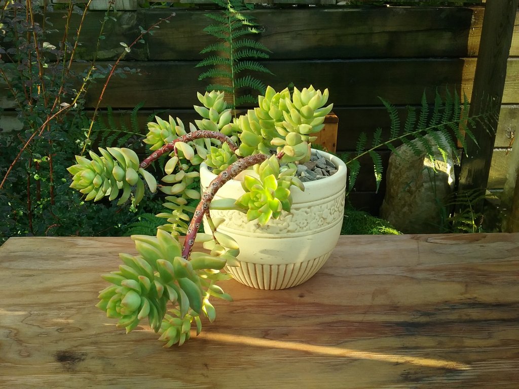 20170914_174218.jpg