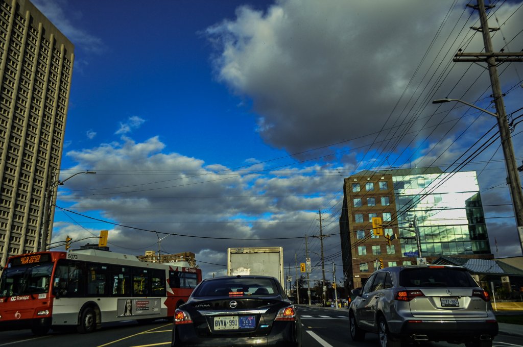 DSC_2546.jpg