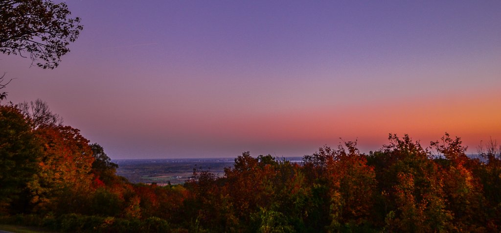 DSC_8568-2.jpg